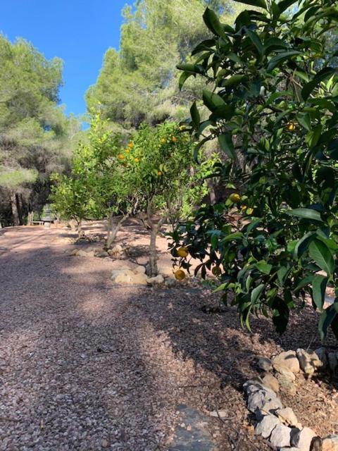 Casa Orient Villa Altea Kültér fotó